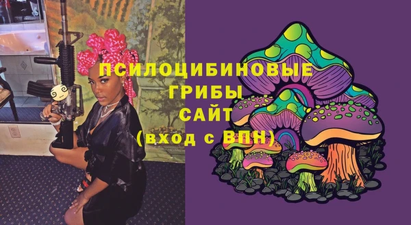 индика Бронницы